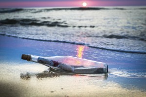 Zensations News